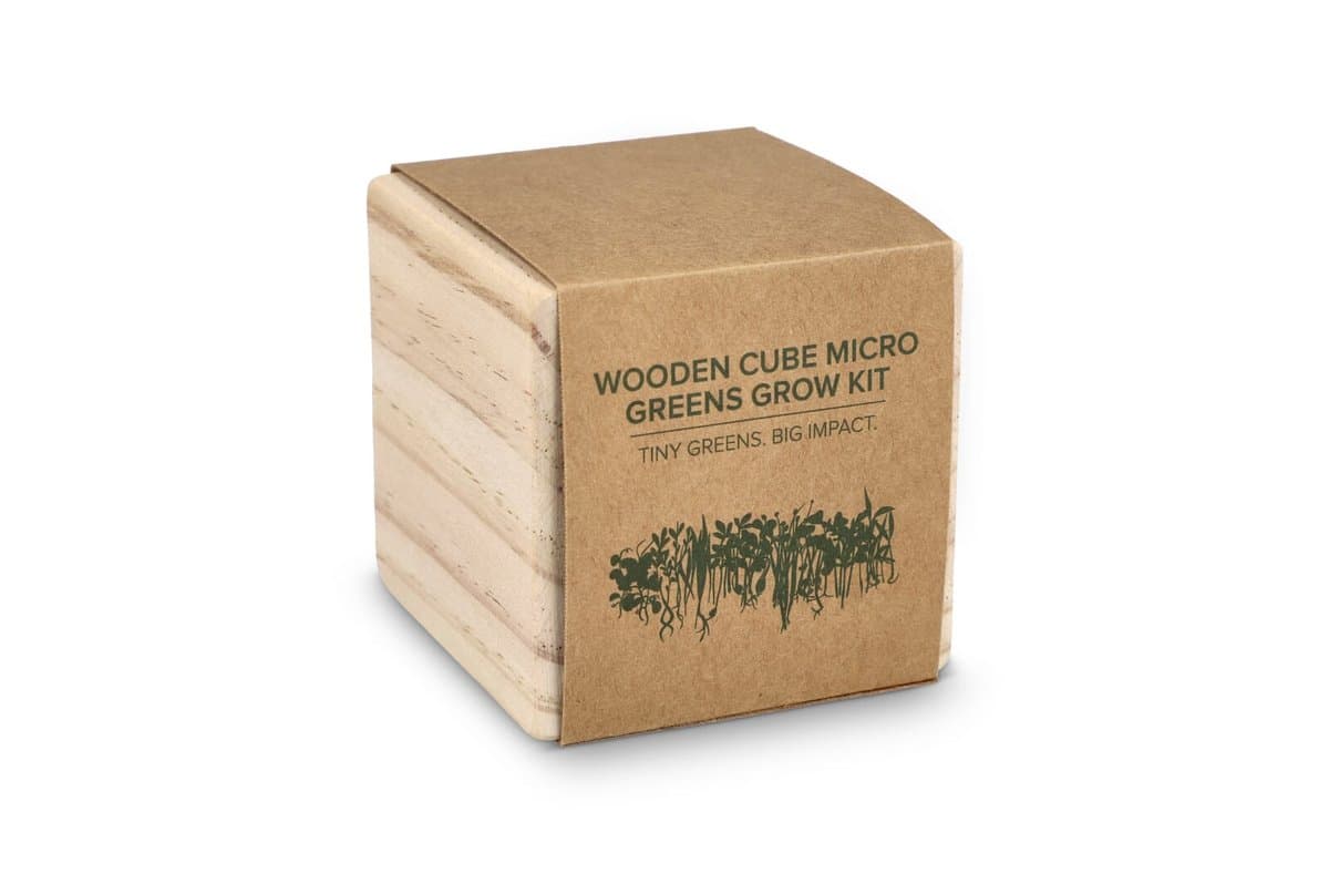 FSC Wooden Planter Set - Microgreens 3