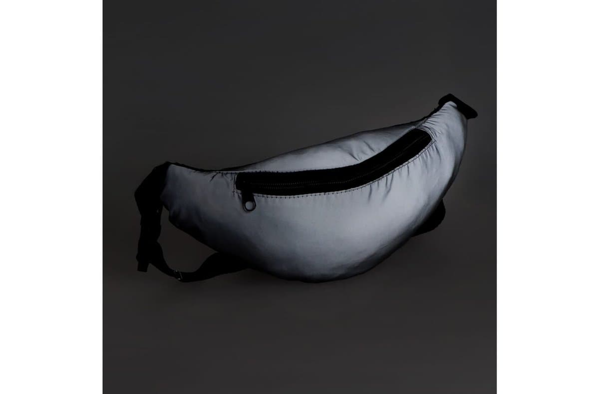 Reflective Zola Waist Bag 5