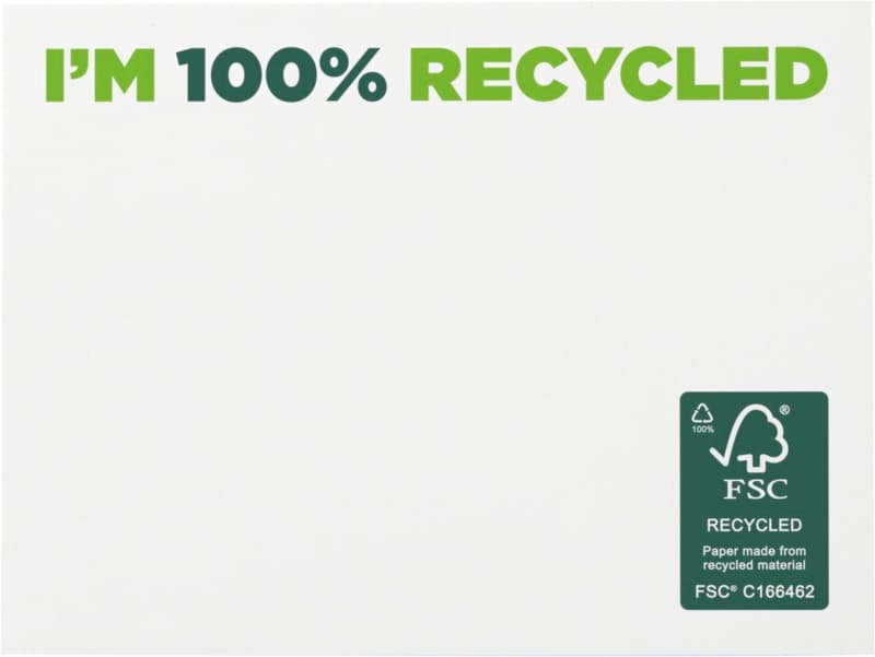 Sticky-Mate® recycled sticky notes 100x75 mm 2