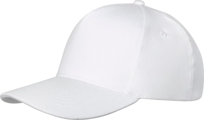 Doyle 5 panel cap