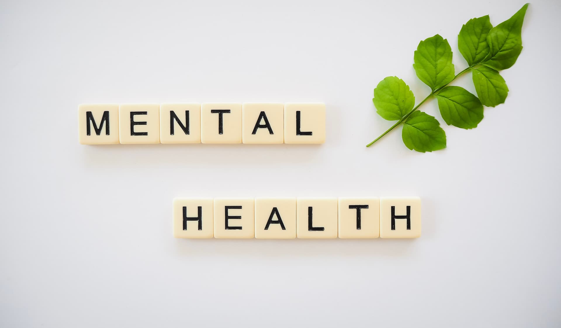 8 World Mental Health Day Gift Ideas