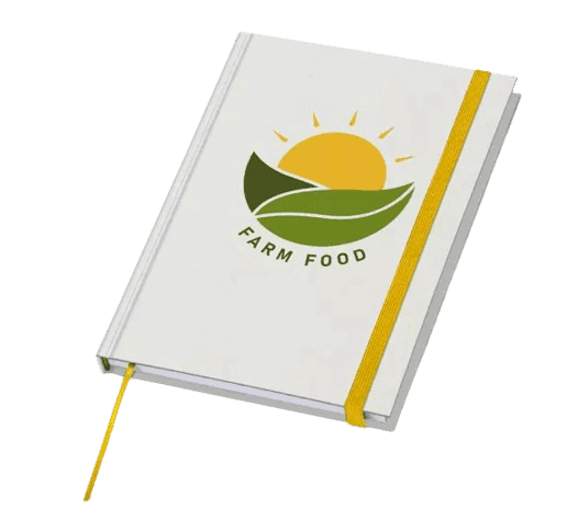 mindnotes economy - hardback