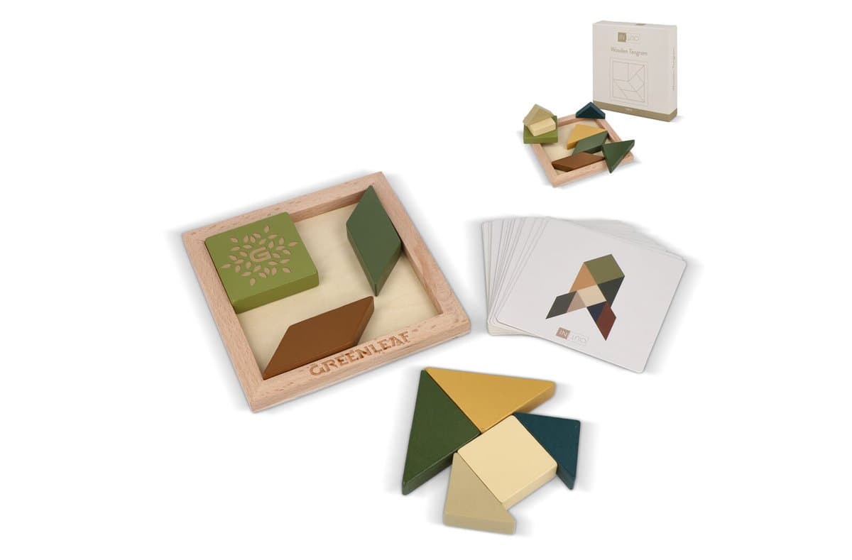 InSideOut Wooden Tangram think IQ puzzle