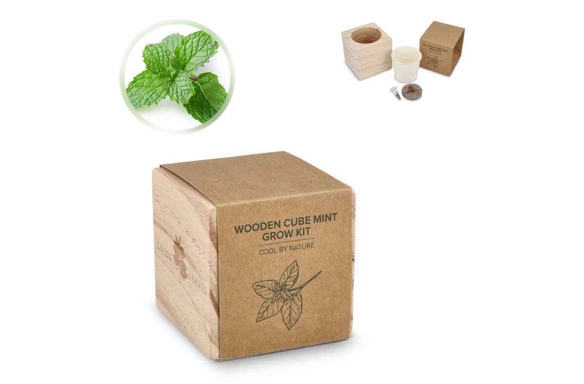 FSC Wooden Planter Set – Mint