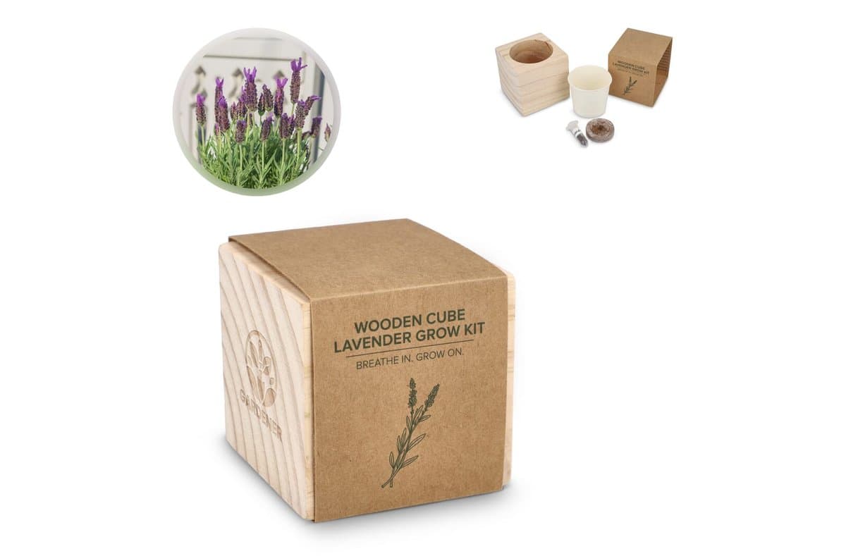 FSC Wooden Planter Set – Lavendar