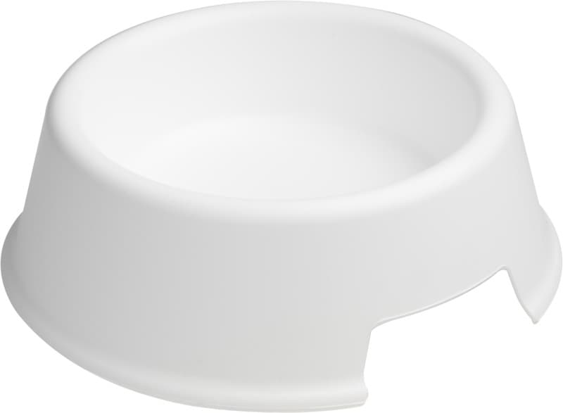 Koda dog bowl